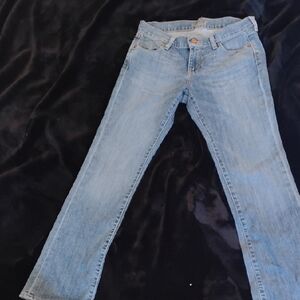 LOFT Blue Straight Leg Jeans Classic Fit